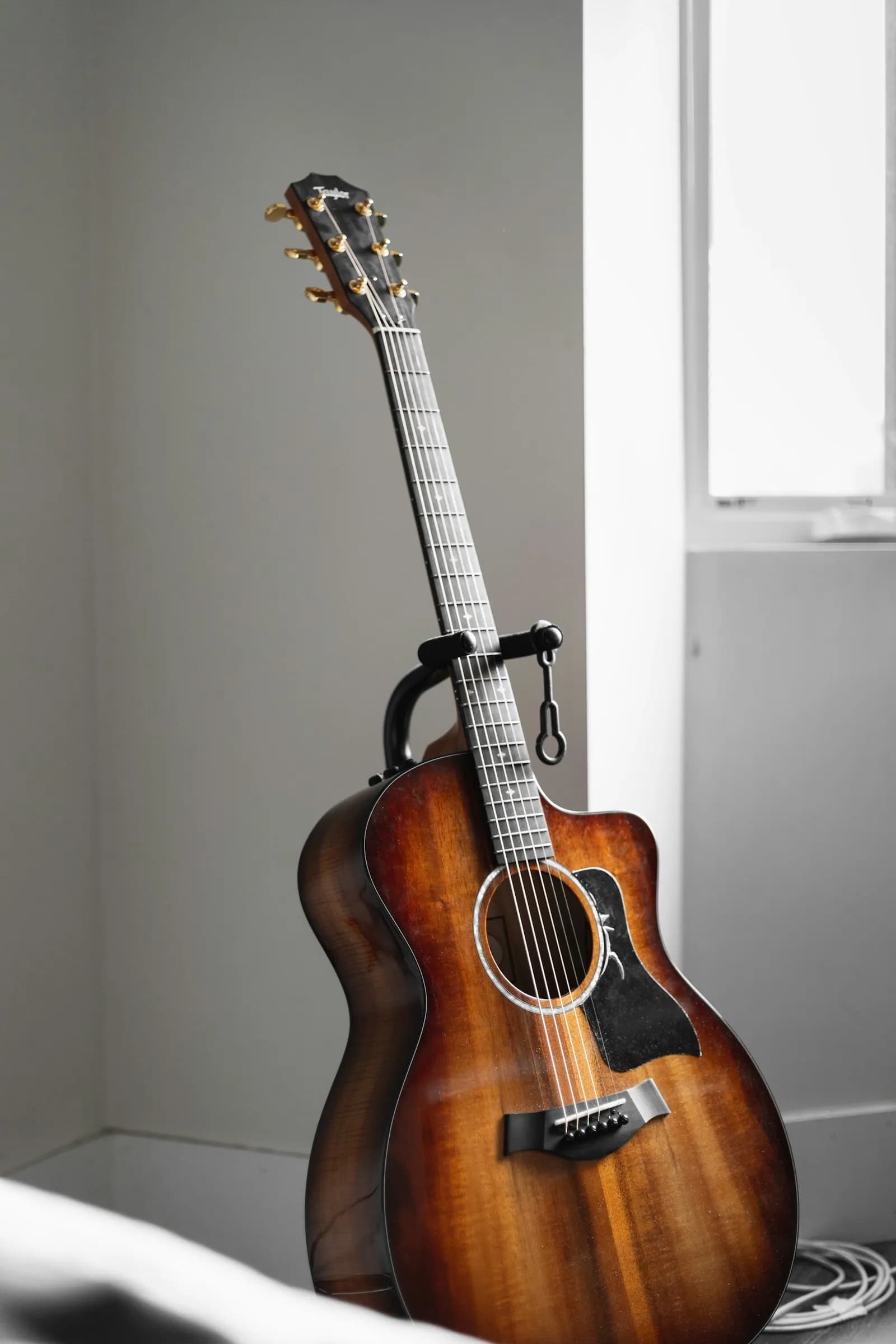 Guitarist starting a learning path
